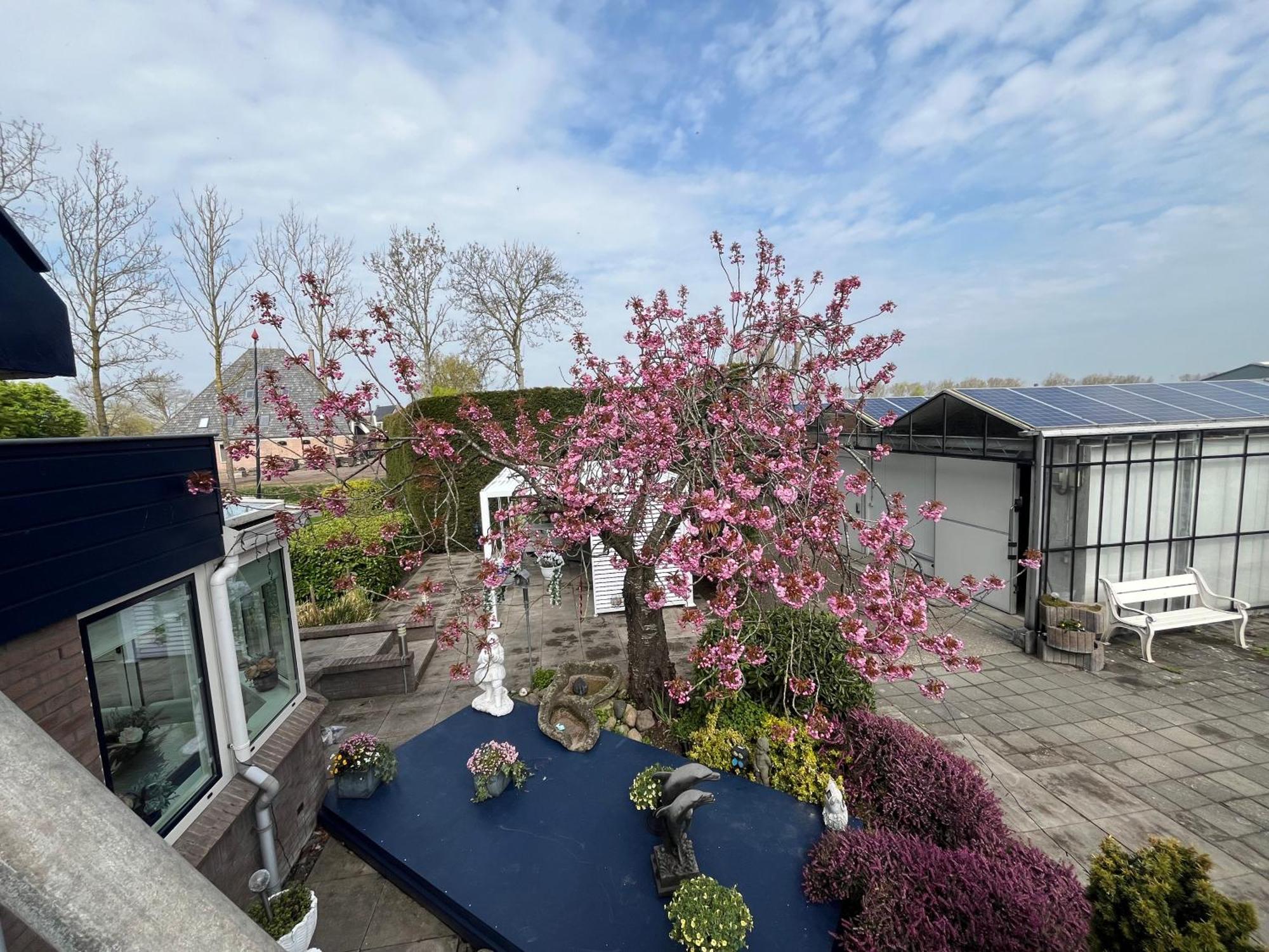 B&B Dol - Fijn Benningbroek ภายนอก รูปภาพ