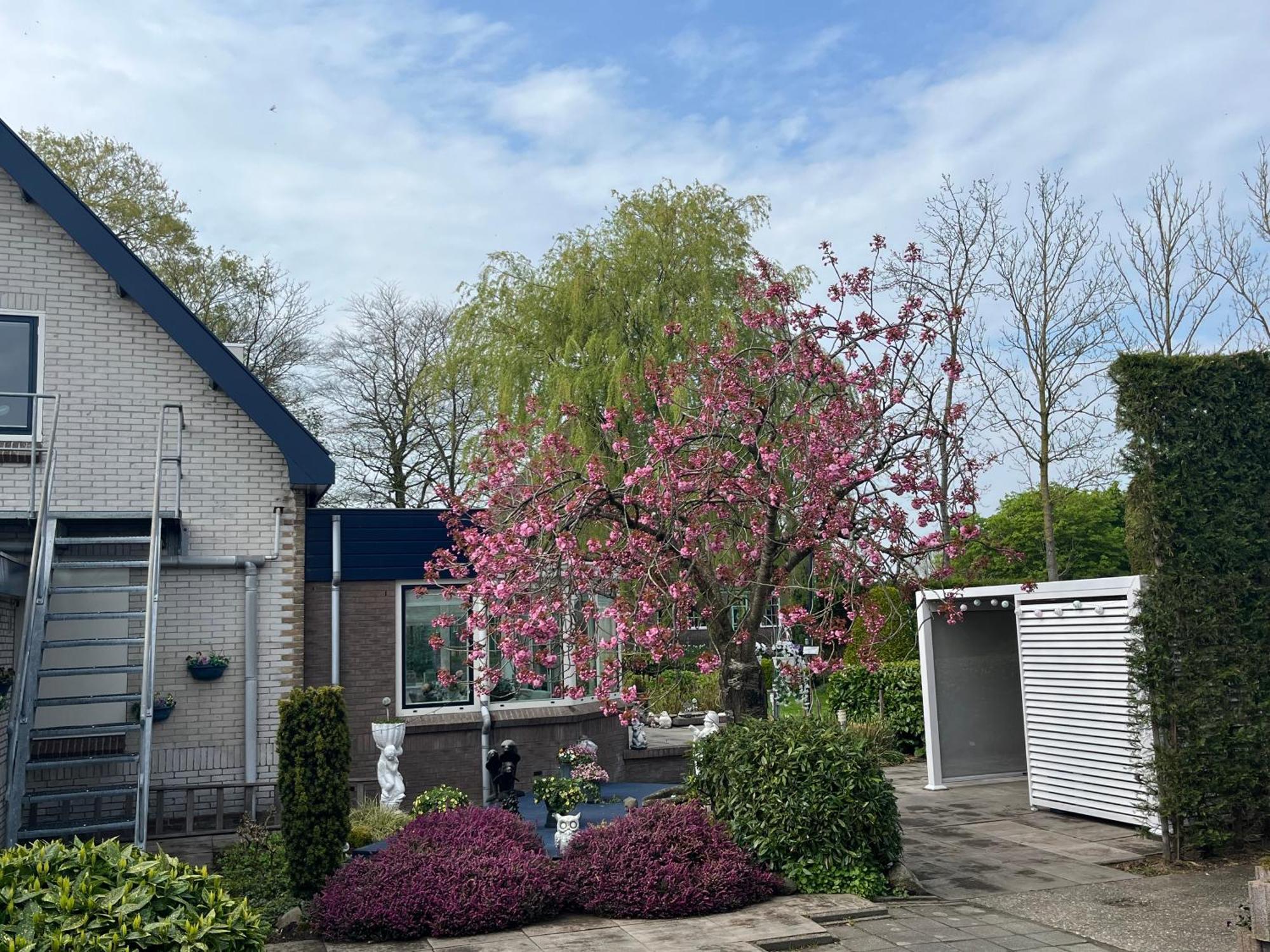 B&B Dol - Fijn Benningbroek ภายนอก รูปภาพ